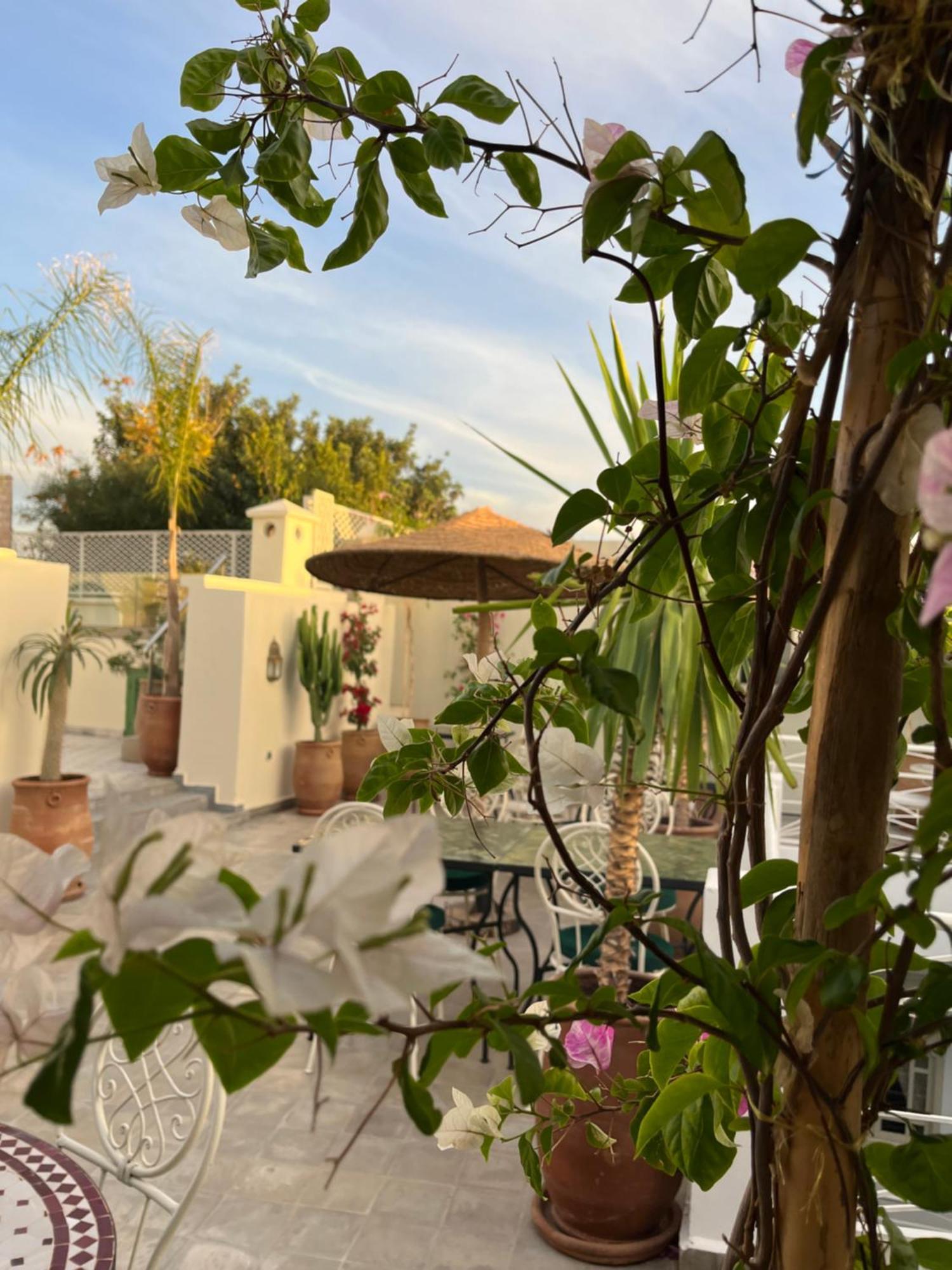 Riad Dar Blanche & Spa Marrakesh Luaran gambar