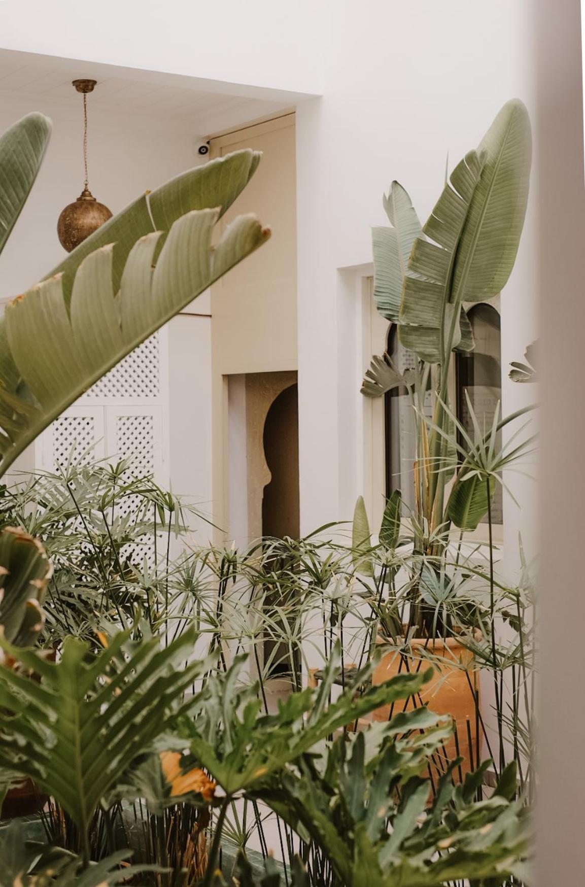 Riad Dar Blanche & Spa Marrakesh Luaran gambar