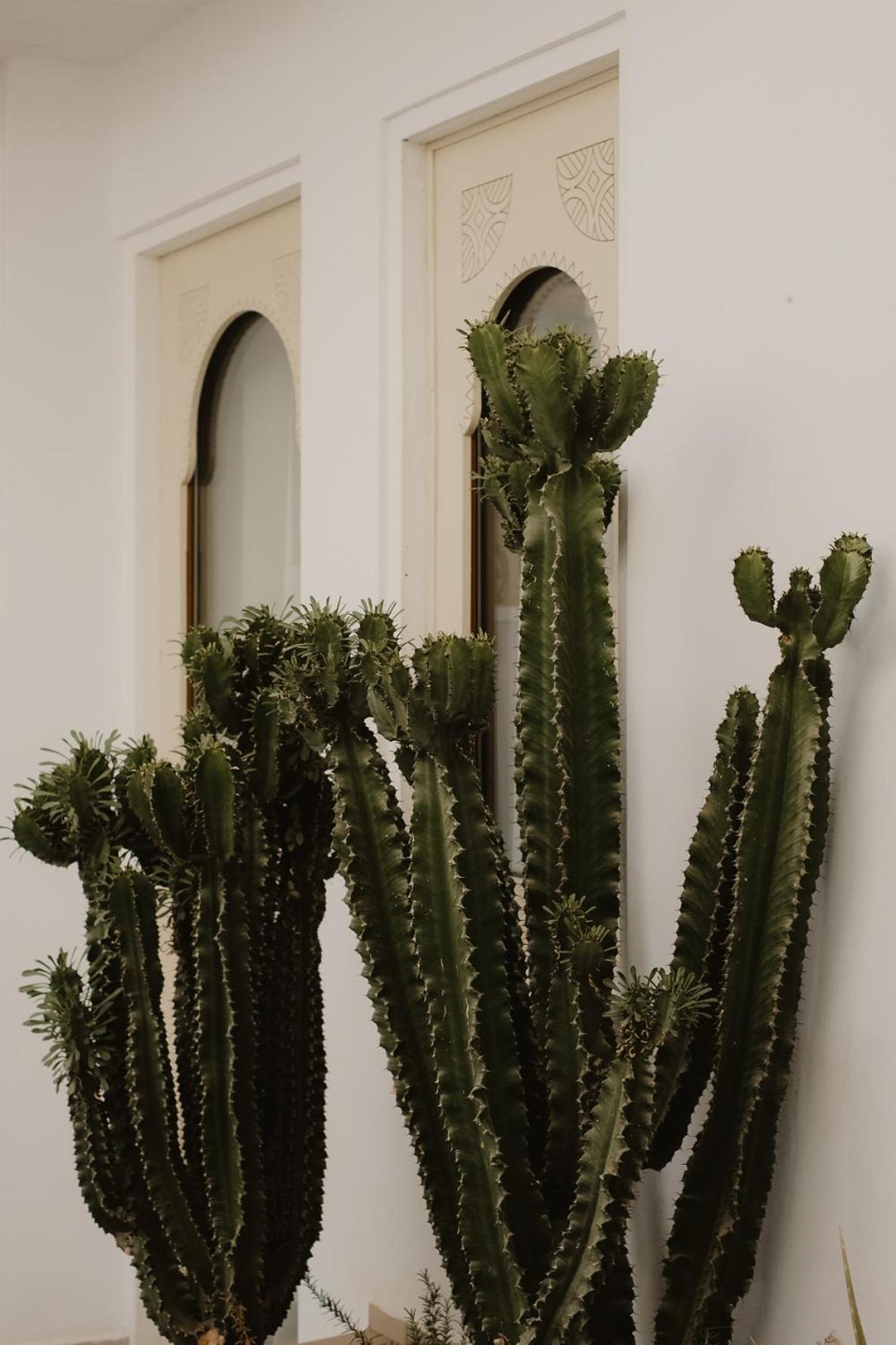 Riad Dar Blanche & Spa Marrakesh Luaran gambar